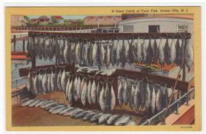 Tuna Fish Catch Fishing Ocean City New Jersey postcard