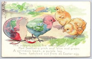 1911 The Oldest Chick I've Ever Seen Easter Greetings And Wishes Posted Postcard