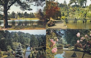 Alton Towers Staffordshire 4x River Lake Postcard s