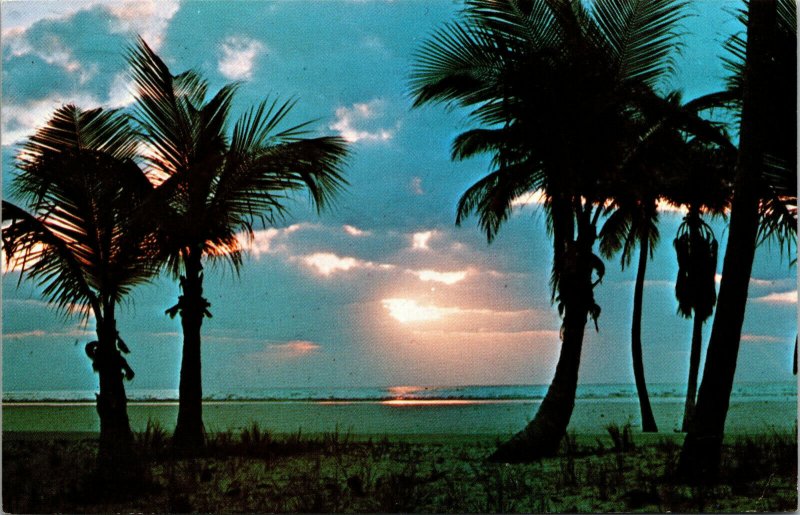 Vtg 1980s Palms Trees and Florida Sunrise Over Peaceful Ocean FL Postcard