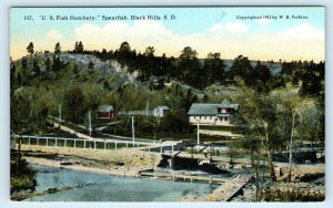 SPEARFISH, SD South Dakota ~ US FISH HATCHERY 1911 Lawrence County  Postcard