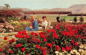 WHITTIER, CA California ROSE HILLS MEMORIAL PARK CEMETERY~Garden Chrome Postcard