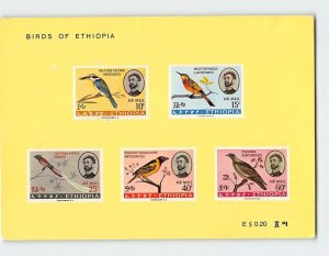 Postcard Birds Of Ethiopia