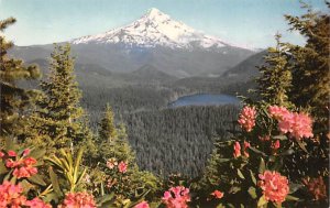 Mount Hood, Lost Lake Mt Hood, Oregon OR  