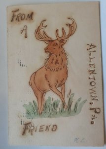 postcard deer - From A Friend, Allentown, PA -- very thick, cardboard