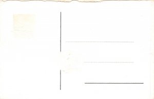 A207 Netherlands Valkenburg Ruins View vintage postcard