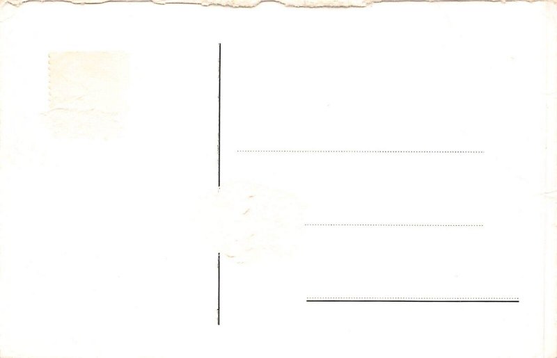 A207 Netherlands Valkenburg Ruins View vintage postcard