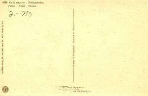 Flowers -  Pansy                             (Thor & Gyger #1039)