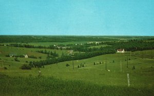 Vintage Postcard Fredericton Hill View Charlottetown Prince Edward Island Canada