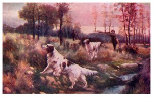 Dog ,  Hunting Dog