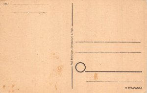 Germany Schloss Schwarzburg Thuer Wald Forest postcard