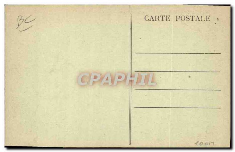 Old Postcard Folklore Oxen Plowing