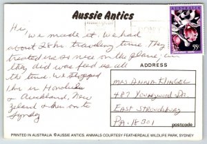 Greetings From Australia - Koala Bear - 1986 - Postcard
