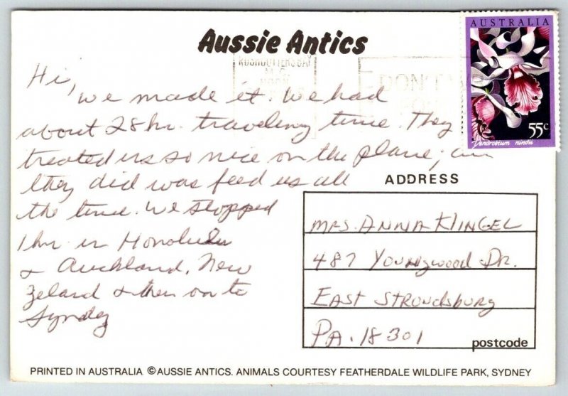 Greetings From Australia - Koala Bear - 1986 - Postcard