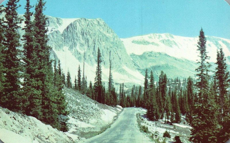 Vintage Postcard Highway No.130 Snowy Range Medicine Bow National Forest Wyoming