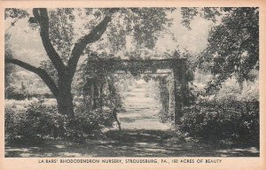 Postcard La Bars' Rhododendron Nursery Stroudsburg PA #2