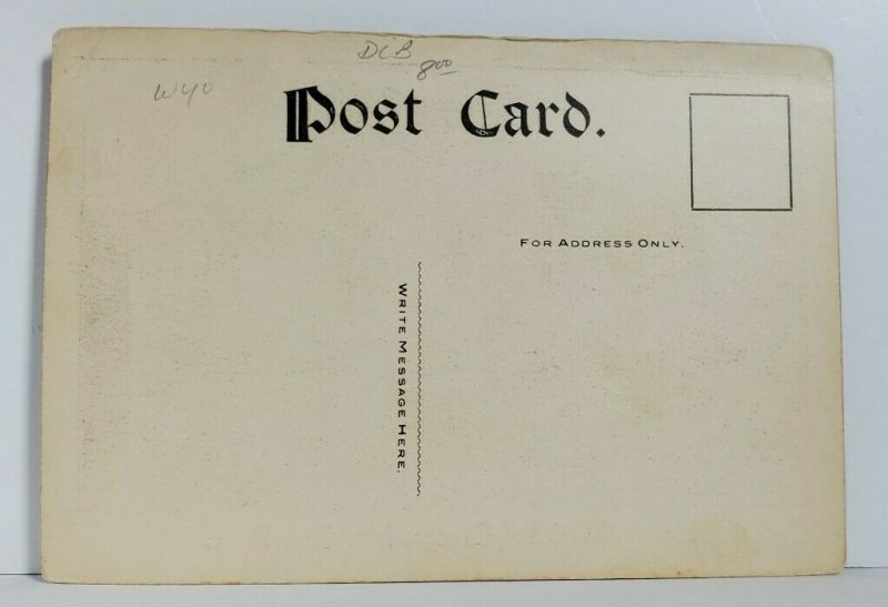 Mill City Pa Home of Oriental Grange D.C. Vosburg & Bro. Susquehanna Postcard N3