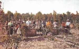 uk40225 hop picking home pickers maidstone kent agriculture harvest