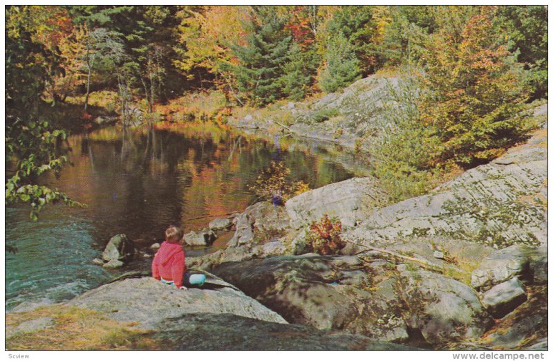 Boy Enjoying The Rocky View, Greetings From Flesherton, Ontario, Canada, 1940...