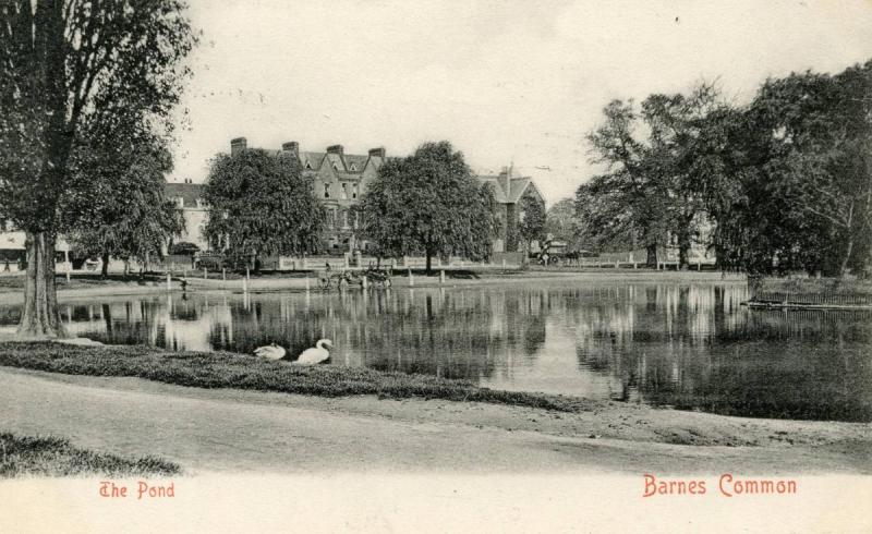 UK - England, Barnes Common and Pond