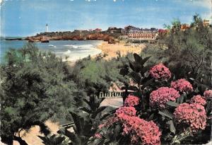 BT7626 Biarritz les hortensias et vue sur la plage et le phare    France