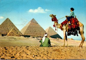 Egypt The Pyramids Of Giza