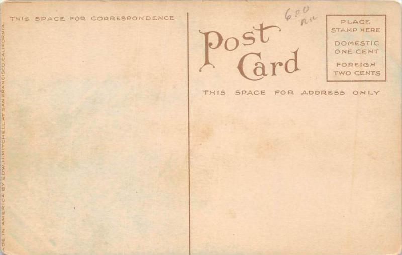 10984 CA  Sacramento River  Steamer