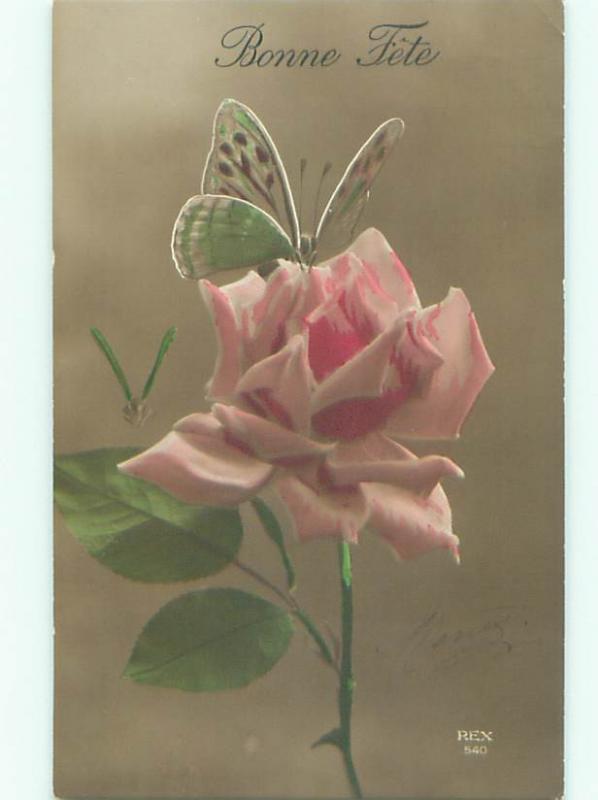 tinted rppc c1910 BEAUTIFUL FLOWERS AC8994