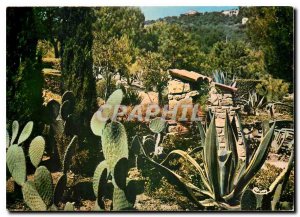 Postcard Modern creeks Issambres Var Exotic Garden at the entrance of the Pro...