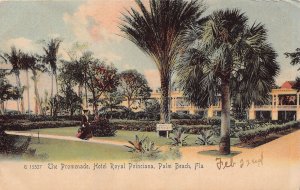 PALM BEACH FL~PROMENADE HOTEL ROYAL POINCIANA~1900s ROTOGRAPH TINT PHOTO POSTCRD