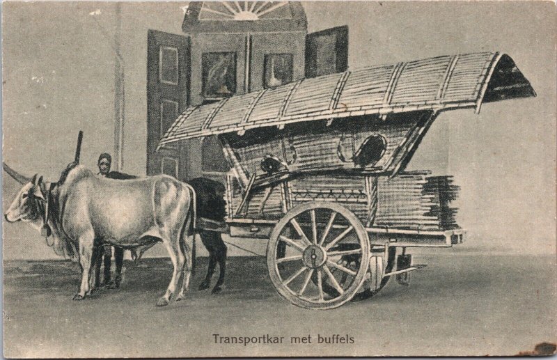 Indonesia Transportkar met Buffels Vintage Postcard C078