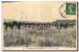 Old Postcard Horse Riding Equestrian Cercottes The camp The horse park Militaria