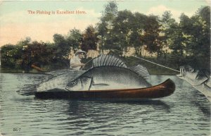 Fishing exaggeration monster freak fishes Troy Maine by J. Herman 1913 postcards 