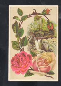 TOLEDO OHIO WOOLSON SPICE COMPANY LION COFFEE YELLOW ROSE ADVERTISING CARD