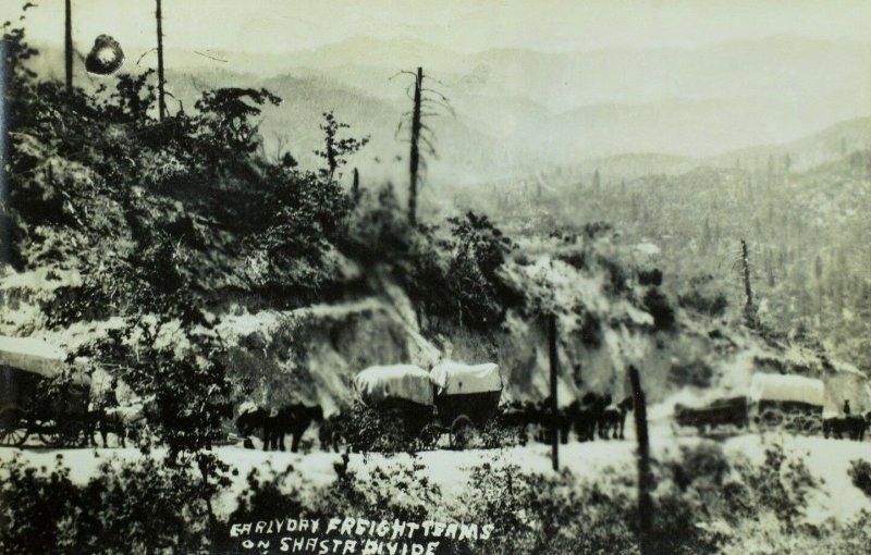 RPPC Early Day Freight Teams on Shasta Divide CA. Vintage Postcard F41