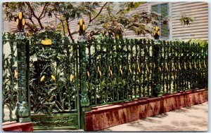 Postcard - Cornstalk Fence - New Orleans, Louisiana