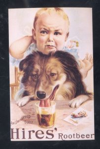HIRES ROOT BEER SODA POP YOUNG BOY WITH DOG ADVERTISING POSTCARD