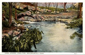 Texas New Braunfels Landa Park Comal Springs Curteich
