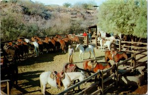 Postcard AZ Tumacacori Tubac Kenyon Ranch Corral Cowboys Horses 1958 H27