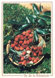 Reunion fruits postcard