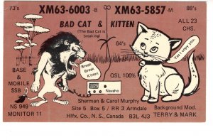 Bad Cat (Lion), Kitten, Armdale, Halifax, Nova Scotia, QSL Postcard,