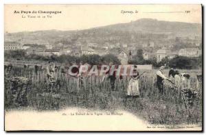 Old Postcard Folklore Wine Harvest Vine Champagne Epernay The vineyard work H...