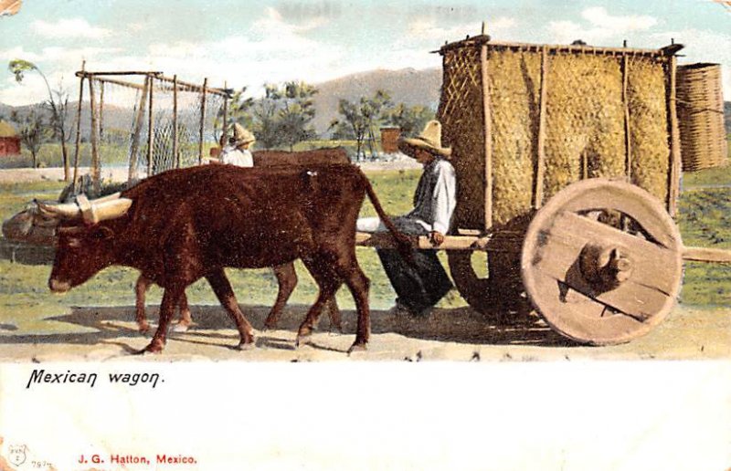 Mexican Wagon Mexico Tarjeta Postal Unused 