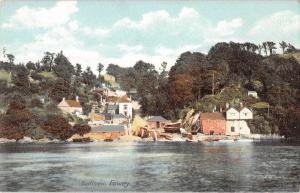 BR81901 bandinnoc fowey uk