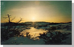Spectacular Cape Cod, Massachusetts/MA Postcard, Sunset On The Dunes