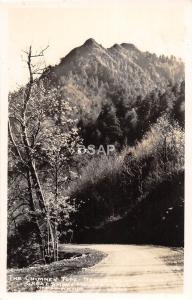 C74/ Great Smoky Mountains National Park Tennessee Postcard RPPC Chimney Top 24