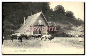 Old Postcard La Bourboule Source Clemence Cows