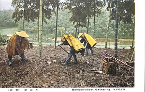 Japan Bamboo-shoot Gathering KYOTO people peasants working field forest