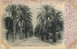 CPA Hyeres Boulevard des Palmiers FRANCE (1103704)