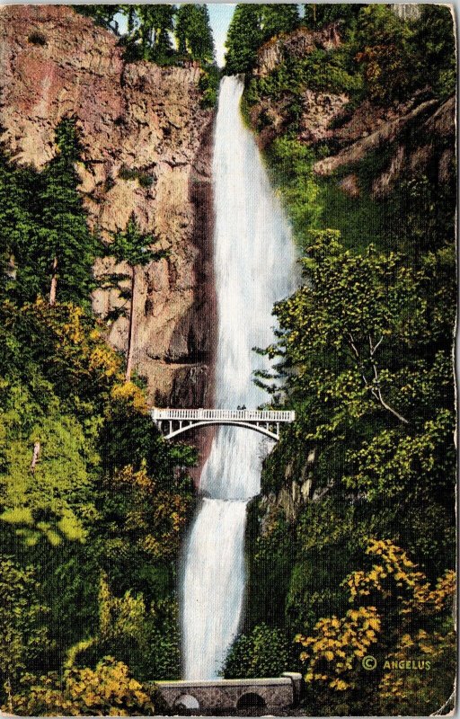 Multnomah Falls Benson Foot Bridge Columbia River Hwy Oregon OR Postcard PM WOB